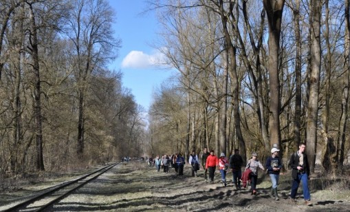 Tavaszváró Gemenc kirándulás 2013  - Tavaszváró Gemenc